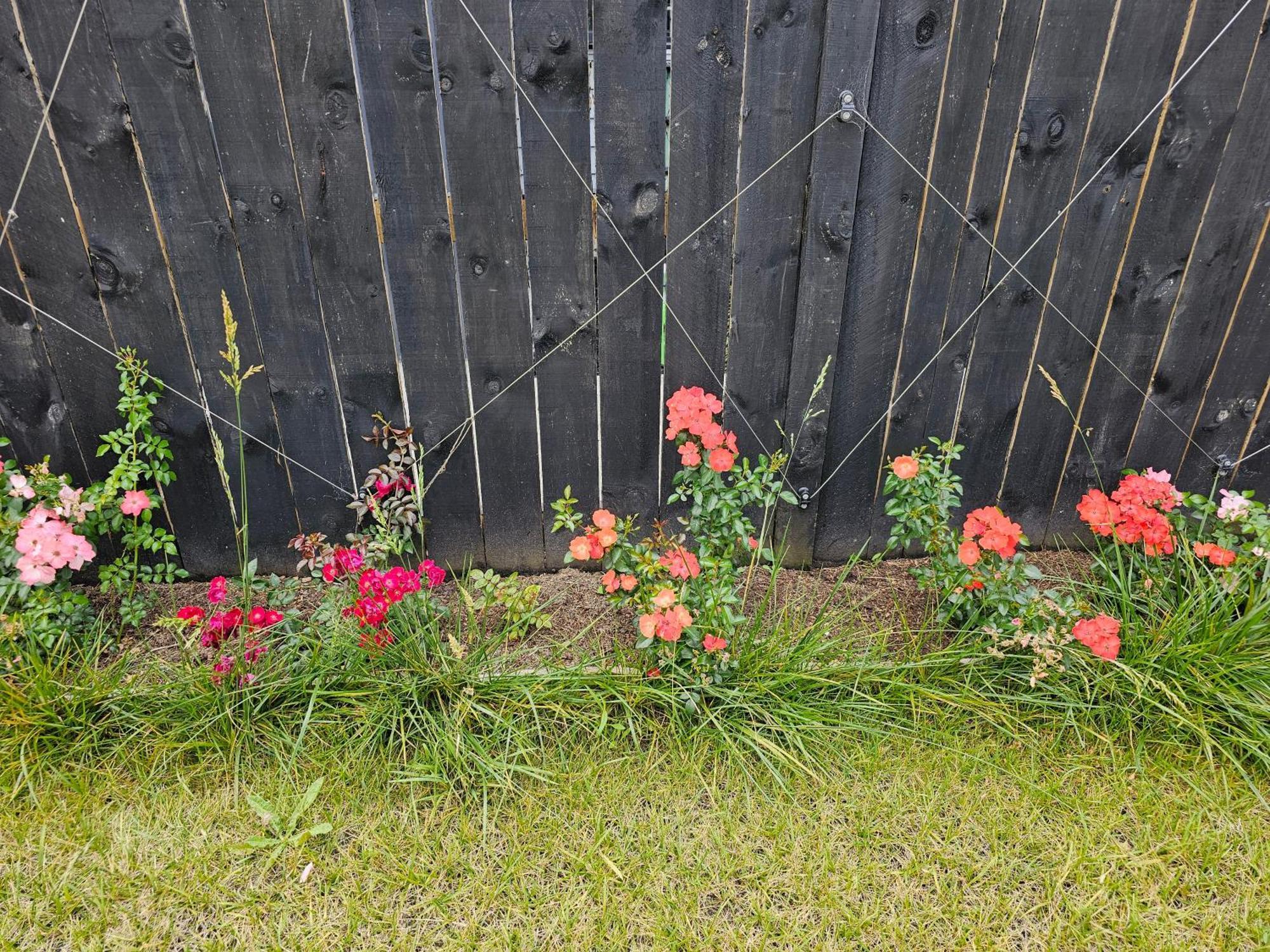 Tui Nest Garden Unit Apartment Silverdale Exterior photo